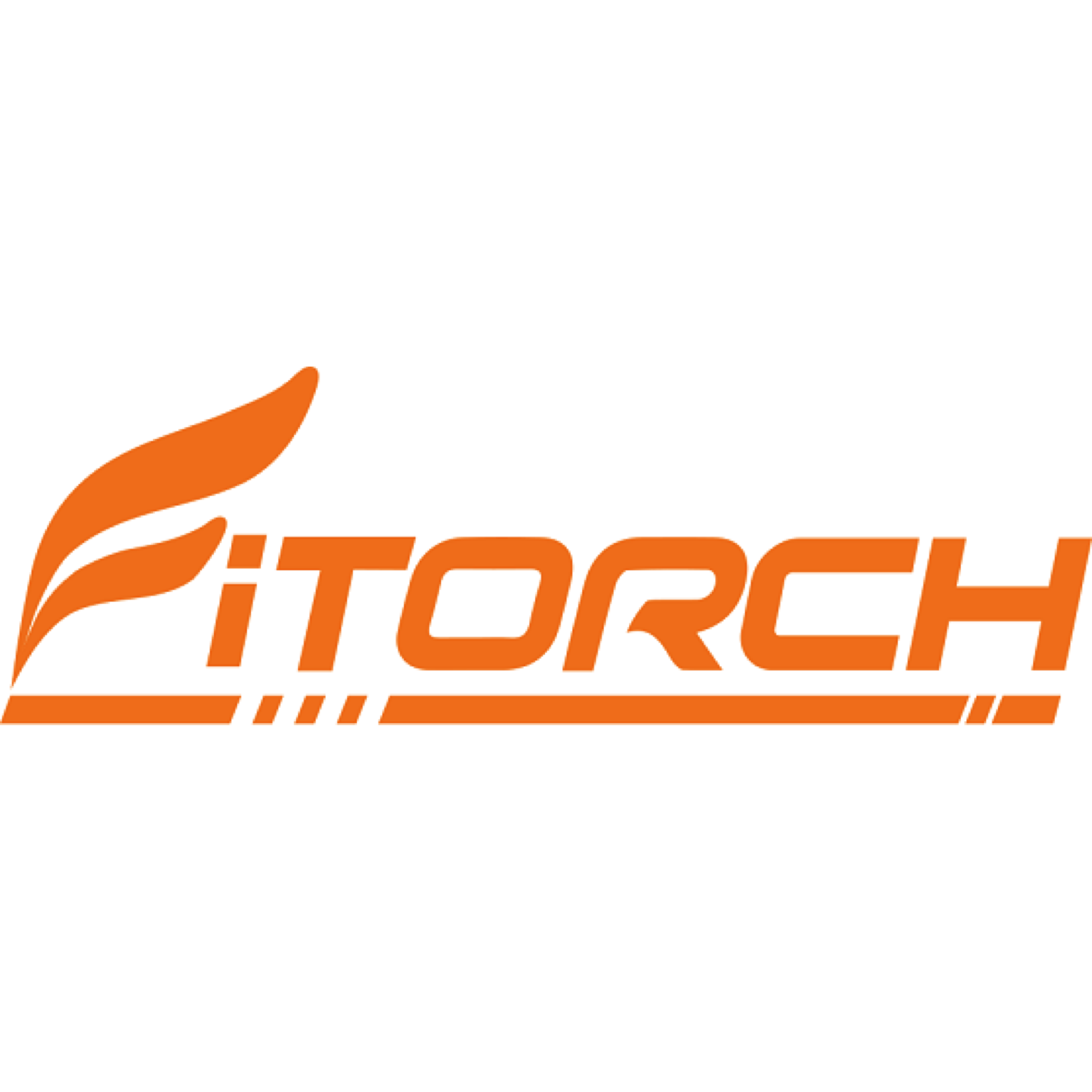 Fitorch