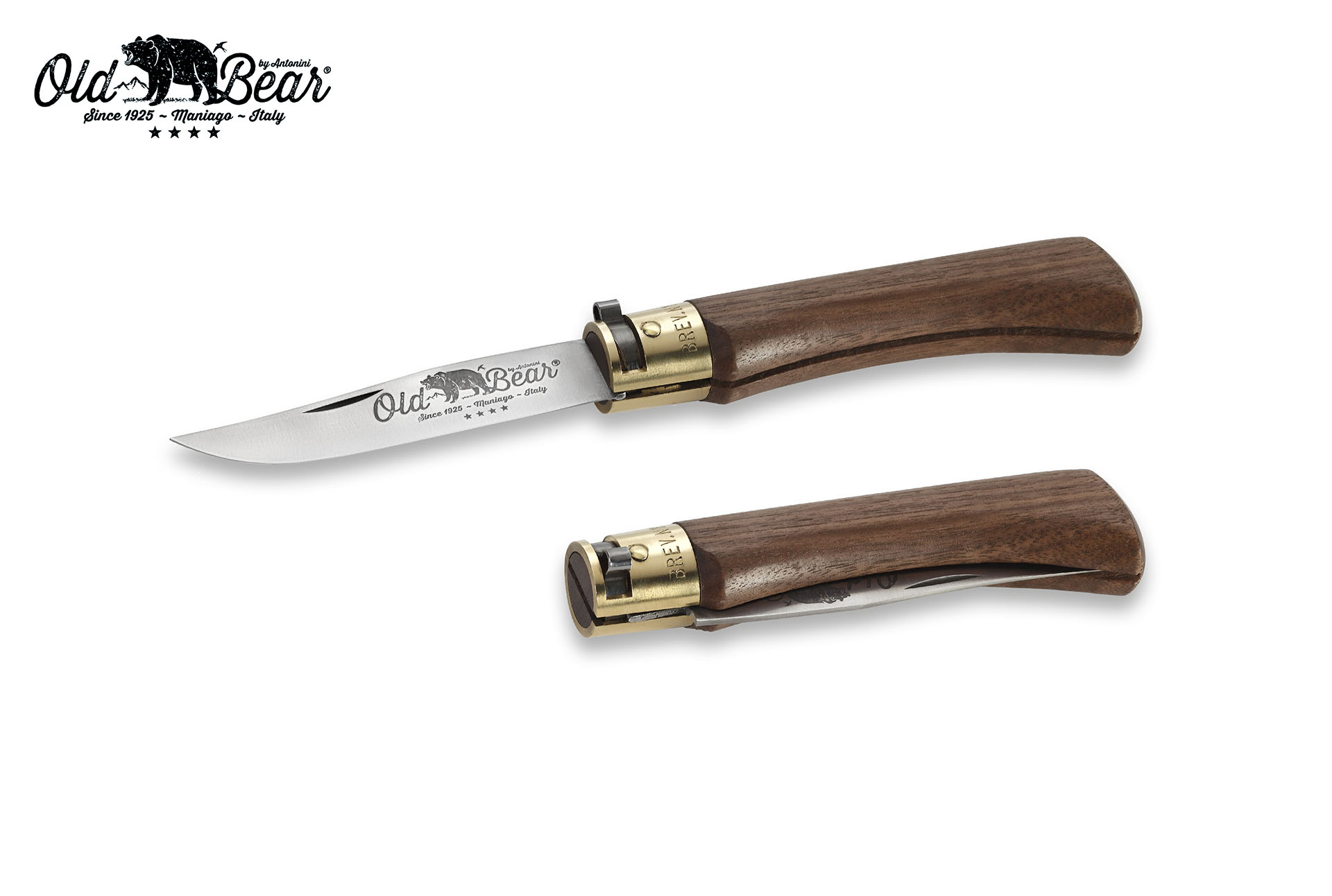 ANTONINI 9307/19 LN OLD BEAR – Antonini